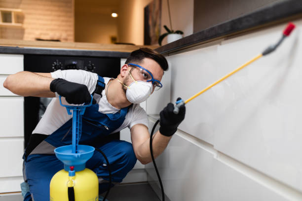Best Exterminator Services  in Kerhonkson, NY