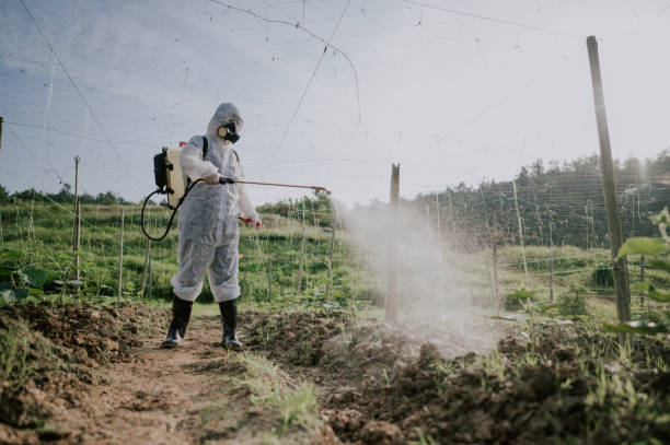 Best Pest Control for Homes  in Kerhonkson, NY