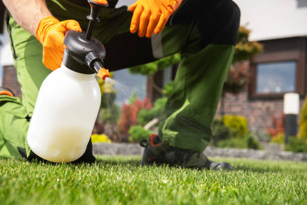 Best Pest Removal Services  in Kerhonkson, NY