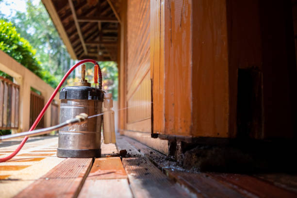 Best Affordable Pest Control Services  in Kerhonkson, NY