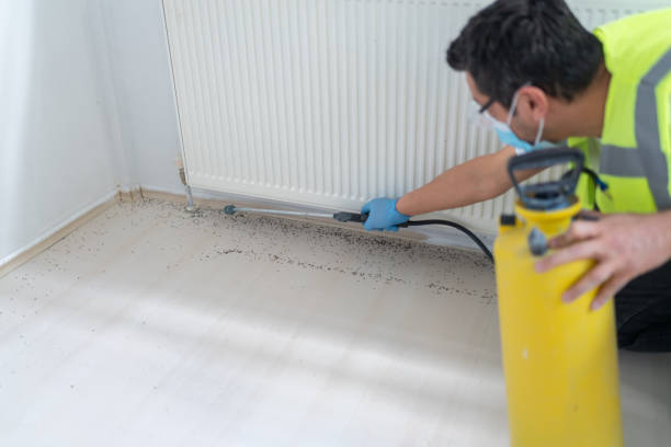 Best Mosquito Control Services  in Kerhonkson, NY