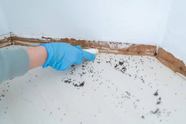 Pest Control for Restaurants in Kerhonkson, NY