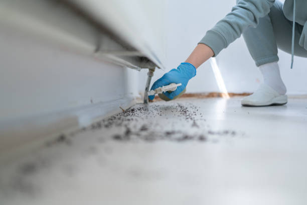 Best Wildlife Control Services  in Kerhonkson, NY